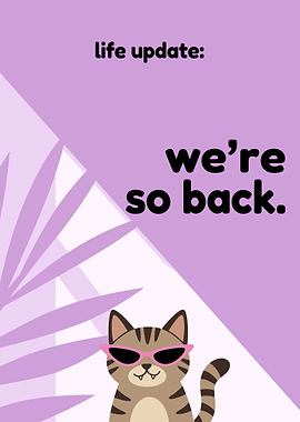 Cat with sunglasses announces return