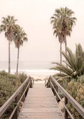 Palm-lined path to the sea