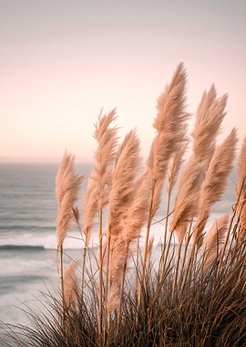 Pampas Grass by the Ocean at Sunset