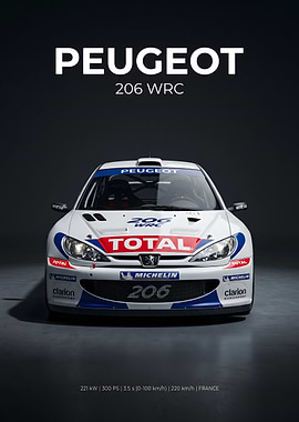 Peugeot 206 WRC Race Car