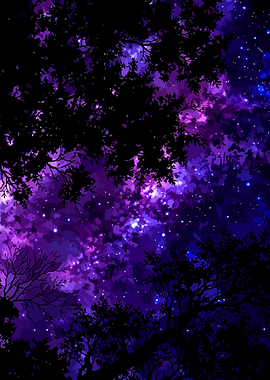 Night Sky Through Silhouetted Trees