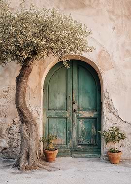 Mediterranean Door with Olive Tree