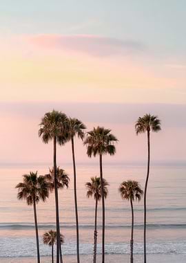 Tropical Tranquility