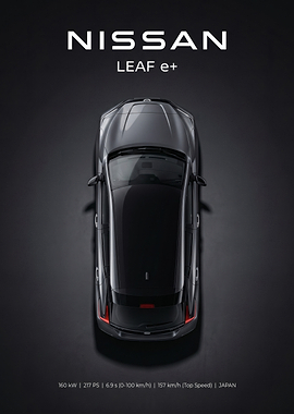 Nissan Leaf e+ Top View