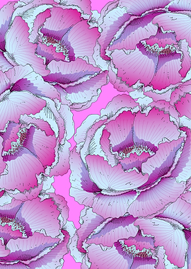 Pink Peony Floral Pattern
