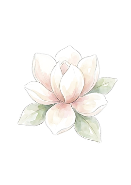 Soft Watercolor Magnolia Flower Illustration