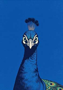 Minimalist Peacock Portrait on Blue