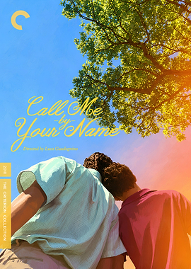 Call Me by Your Name Criterion Poster