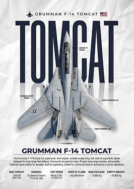 Grumman F-14 Tomcat Technical Poster