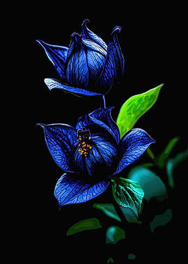 Vibrant Blue Clematis Flowers