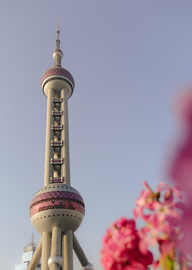 Oriental Pearl Tower with Pink Flowers