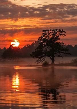 Golden Sunrise Over Misty Lake