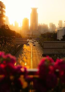 Golden Hour City Street View