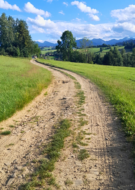 Dirt Path Through Green Meadows