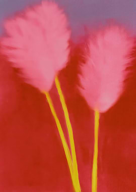 Abstract Pink Feathered Floral Stems