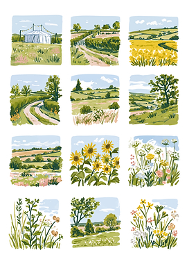 Set of Twelve Countryside Landscape Illustrations