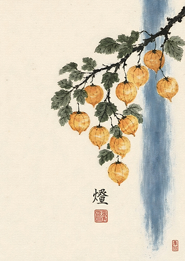 Traditional Chinese Ink Painting of Physalis