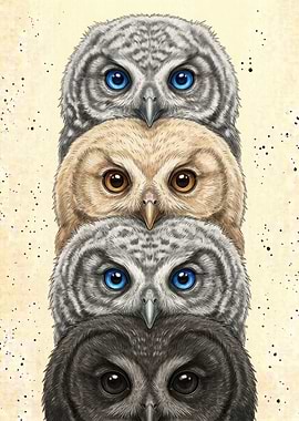 Four Stacked Owls Illustration