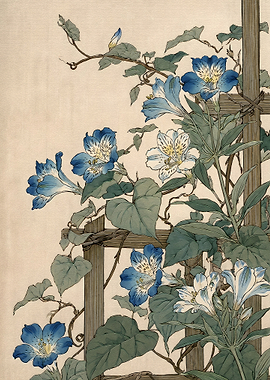 Vintage Botanical Illustration of Blue Flowers