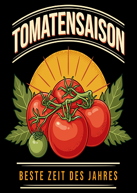 Tomatensaison Beste Zeit Des Jahres