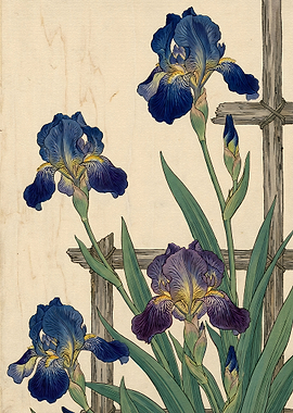Traditional Japanese Iris Woodblock Print