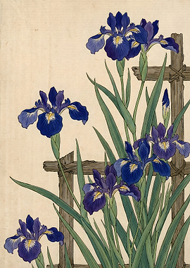 Japanese Woodblock Print of Blue Irises