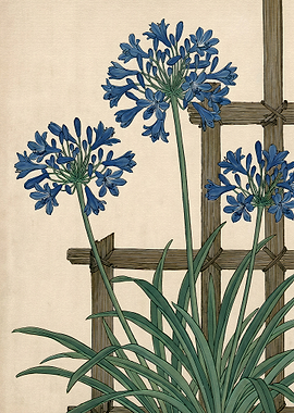 Blue Agapanthus Flowers on Trellis