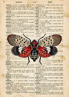 Spotted Lanternfly on Vintage Dictionary Page