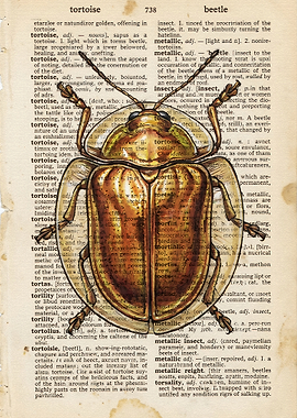 Golden Beetle on Vintage Dictionary Page