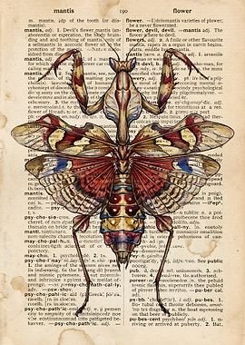 Devil's Flower Mantis Dictionary Print