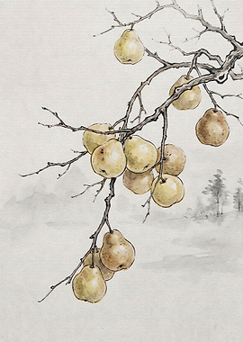 Watercolor Painting of Pears on Branch