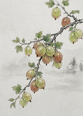 Watercolor Gooseberry Branch Illustration