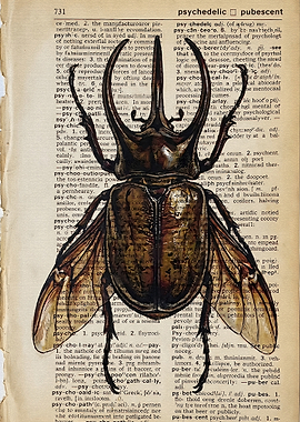 Beetle Illustration on Vintage Dictionary Page