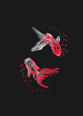 Skeleton Goldfish Yin Yang Design