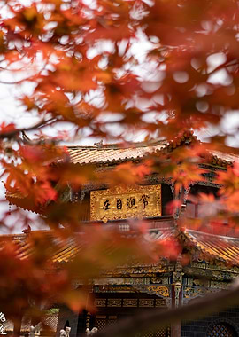 Traditional Chinese Temple Through Autumn Leaves