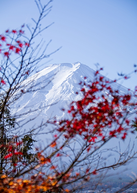 Mount Fuji with Autumn Leaves