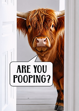 Funny Highland ARE YOU POOPING