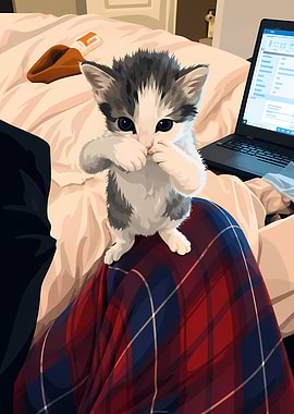 Cute Kitten Sitting on Lap