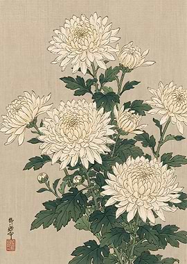 Vintage Japanese Chrysanthemum Botanical Print