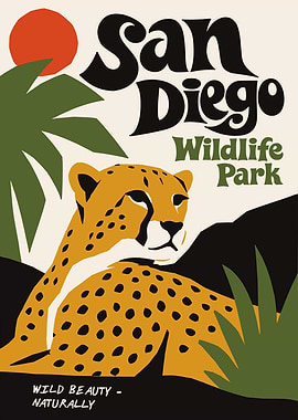 San Diego Wildlife Park Cheetah Poster