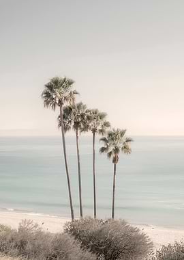 Tropical serenity