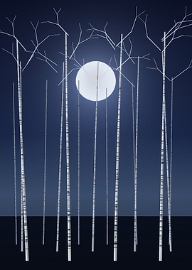 Birch Forest - Minimalist Full Moon Through White Trees at Night