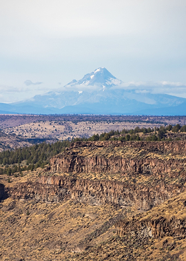 Snow-capped Mountain Over Desert Canyon