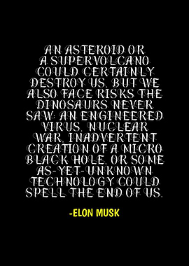 Elon Musk Existential Risk Quote