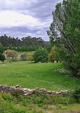 Lush Green Meadow with Stone Wall