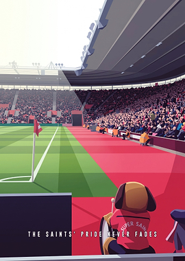 Southampton FC Mascot Stadium Illustration