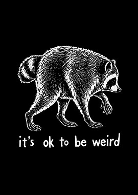Jimothy The Raccoon