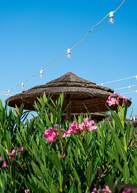 Summer Beach Scene with Pink Flowers