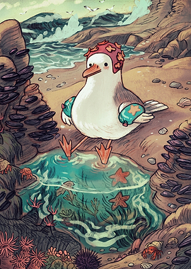 Cute Seagull Paddling in Tide Pool