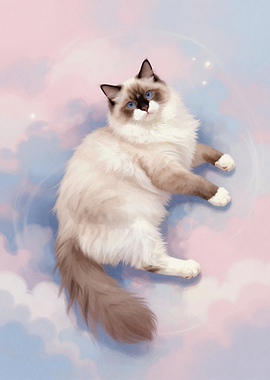 Ragdoll Cat Floating in Pastel Clouds